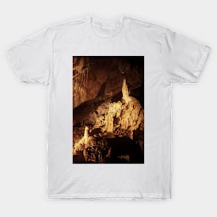 Caves of Vallorbe XXI T-Shirt